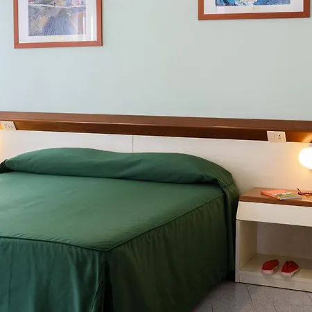 意大利埃特士维赛酒店 3* 斯特雷萨