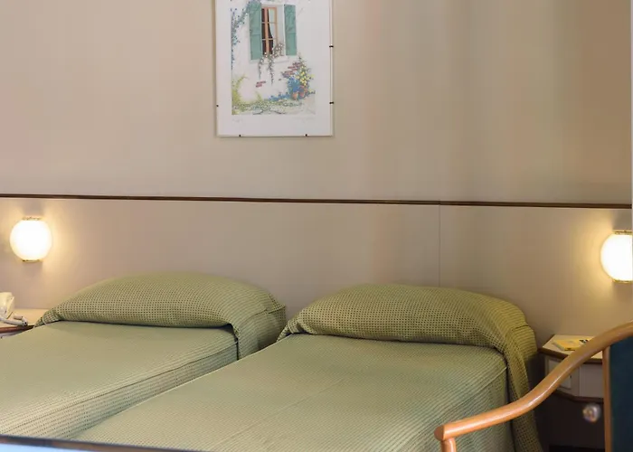 酒店 意大利埃特士维赛酒店 3*