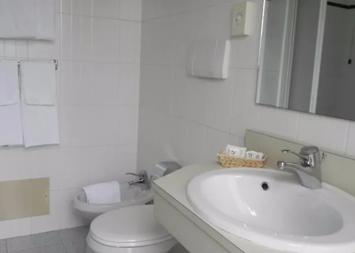 酒店 意大利埃特士维赛酒店 斯特雷萨