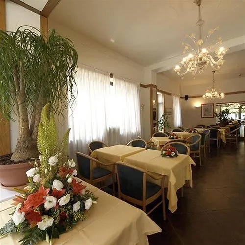 酒店 意大利埃特士维赛酒店 斯特雷萨